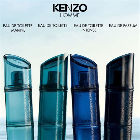 dupe parfum kenzo homme